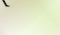 kolaj1Row2xCol10.gif